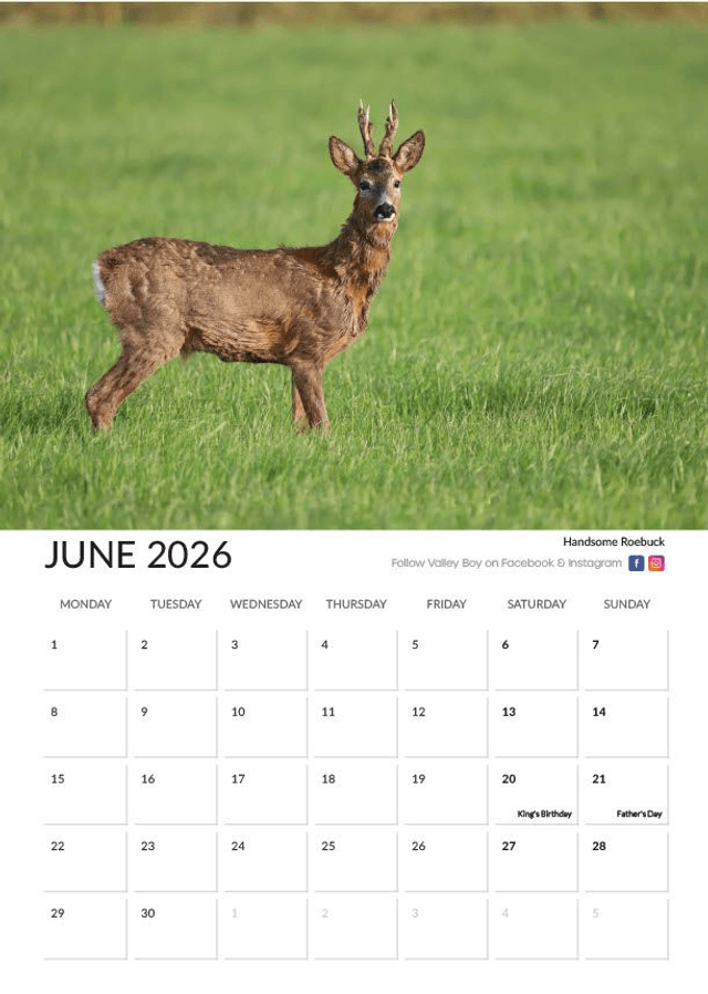 “Wildlife” 2026 Calendar 