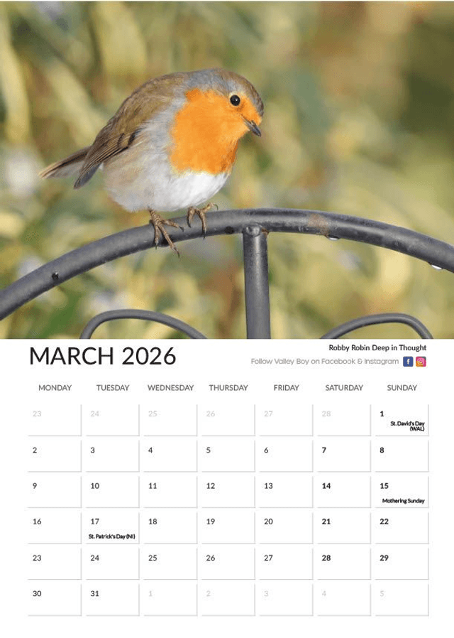 “Robins” 2026 Calendar