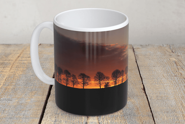 “Treeline Sunrise” Mug 