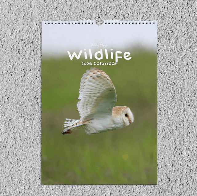 “Wildlife” 2026 Calendar 