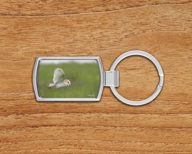 "Barn Owl" Keyring  
