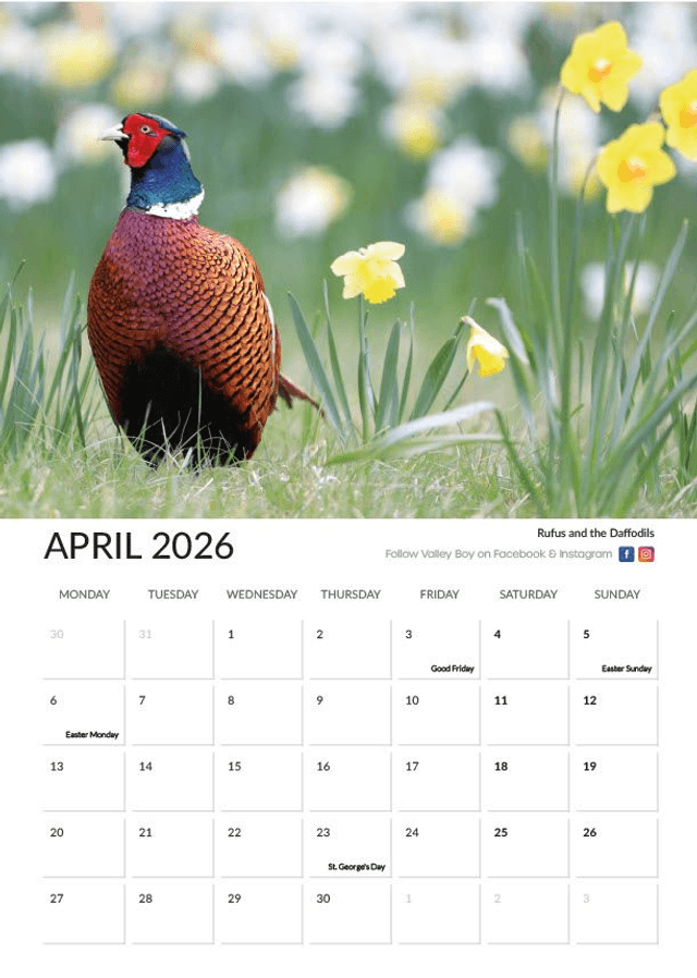 “Wildlife” 2026 Calendar 