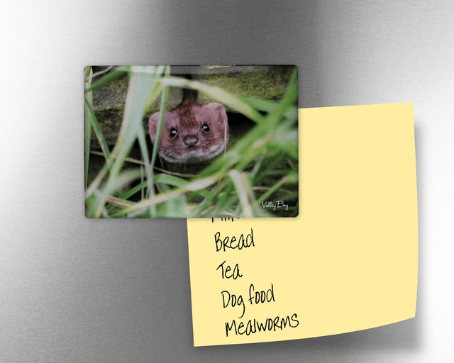 "Pop Goes the Weasel" Fridge Magnet  