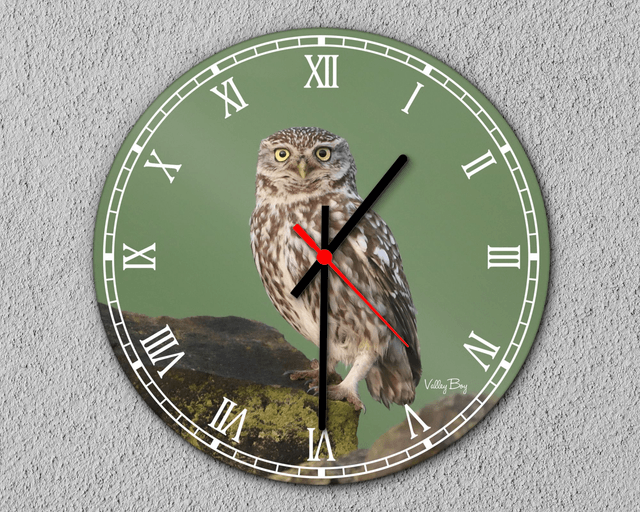 “Little Owl” Clock 