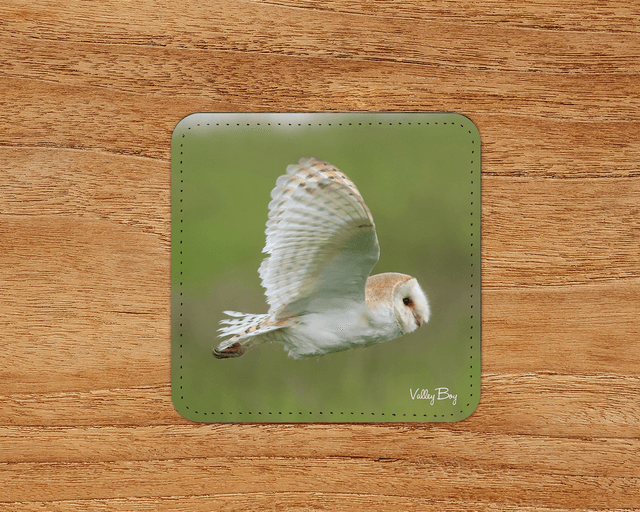 “Barn Owl” Coaster