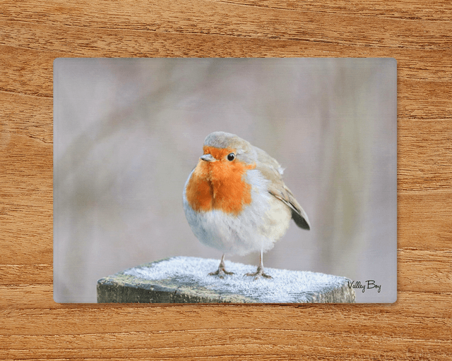 "Frosty Toes" Glass Worktop Saver  