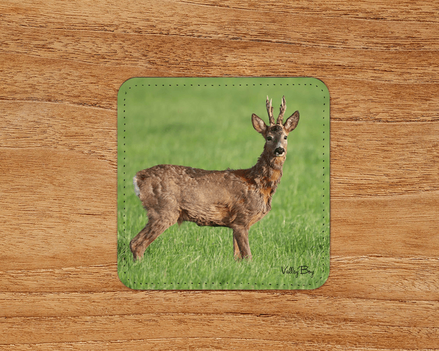 “Handsome Buck” Coaster 