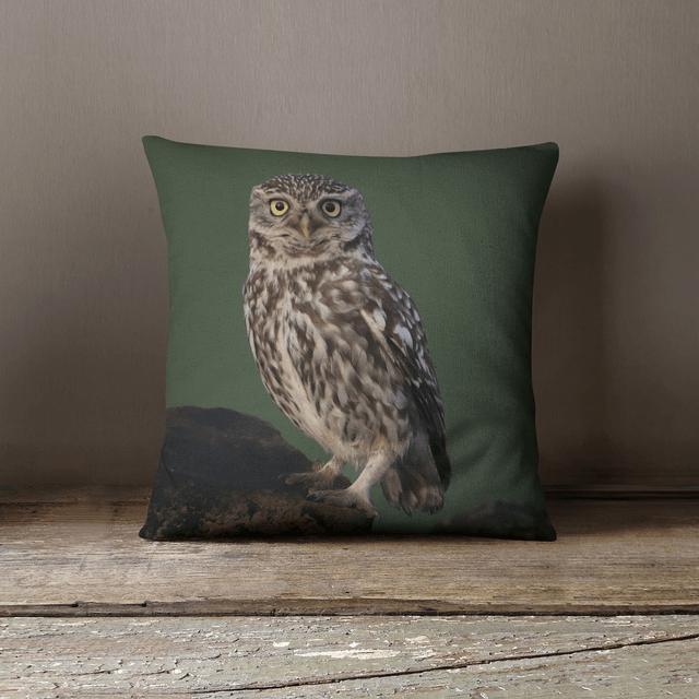 “Little Owl” Cushion 