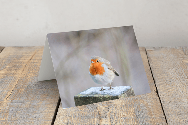 "Frosty Toes" Greeting Card 