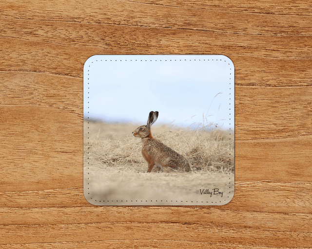 “Henry Hare” Coaster 