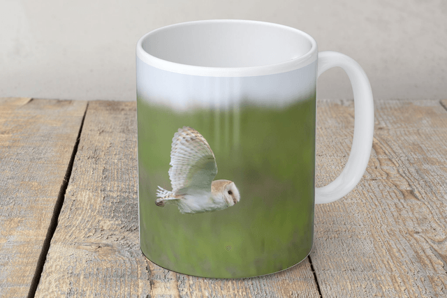 “Barn Owl in Flight” Mug 