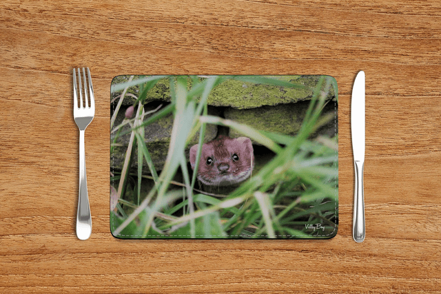 “Pop Goes the Weasel” Placemat  