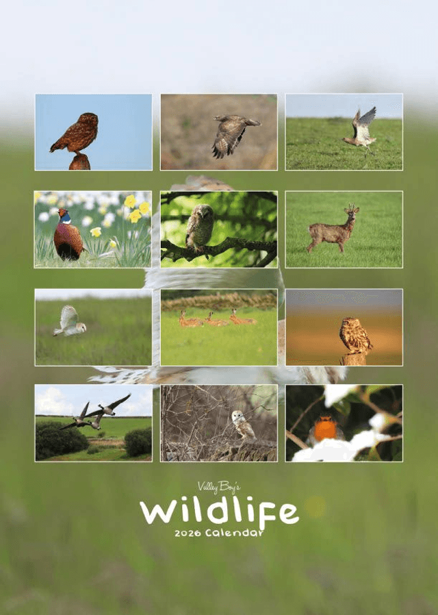 “Wildlife” 2026 Calendar 