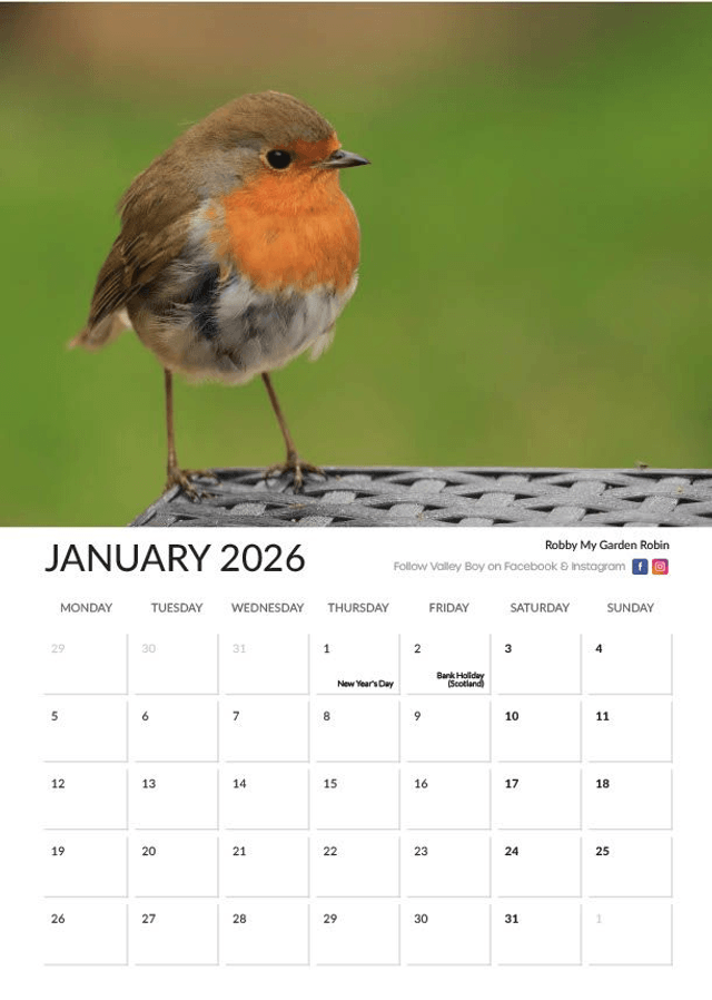 “Robins” 2026 Calendar