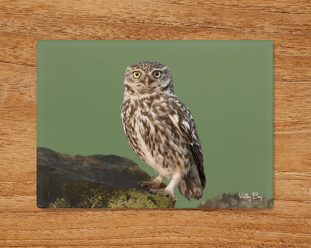 "Little Owl" Glass Worktop Saver  