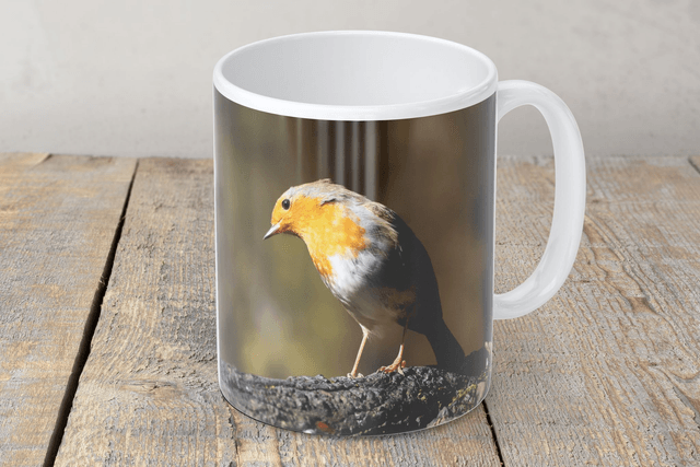 “Stunning Robin” Mug 