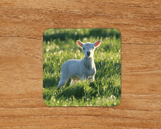 “Little Lamb” Coaster