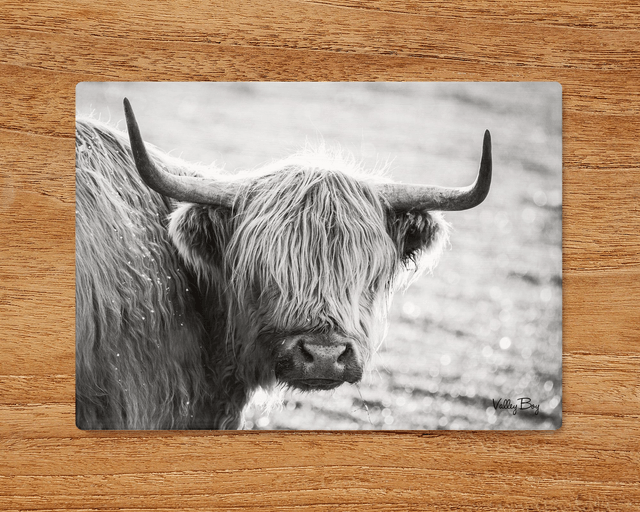 "Highland Cow" Glass Worktop Saver  