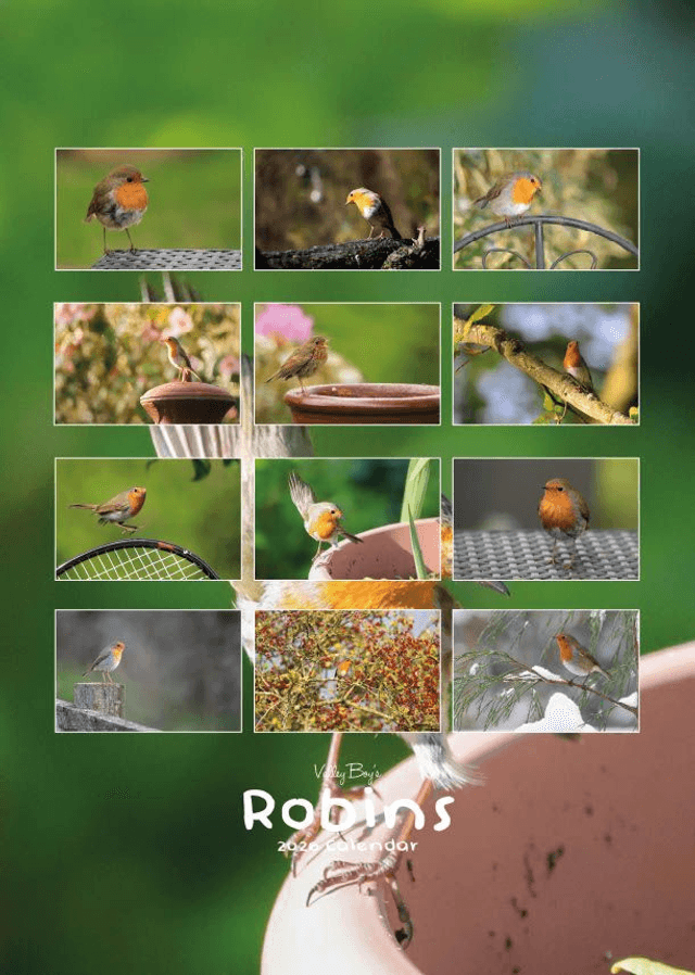 “Robins” 2026 Calendar