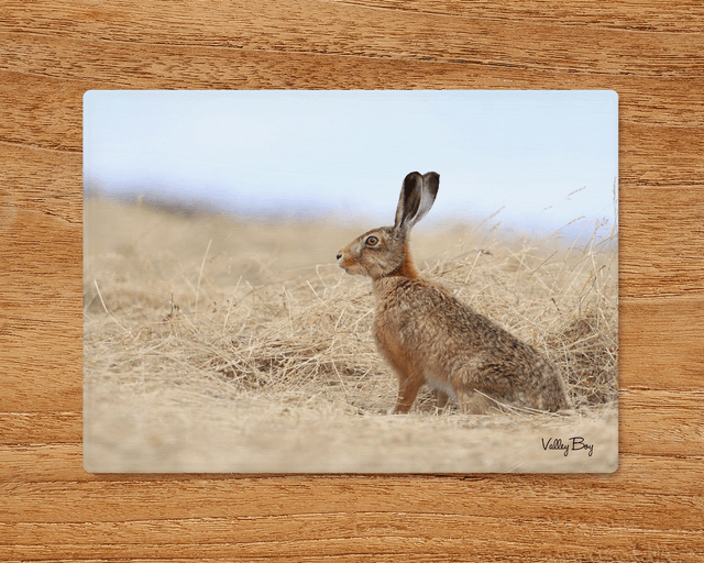 "Henry Hare" Glass Worktop Saver 
