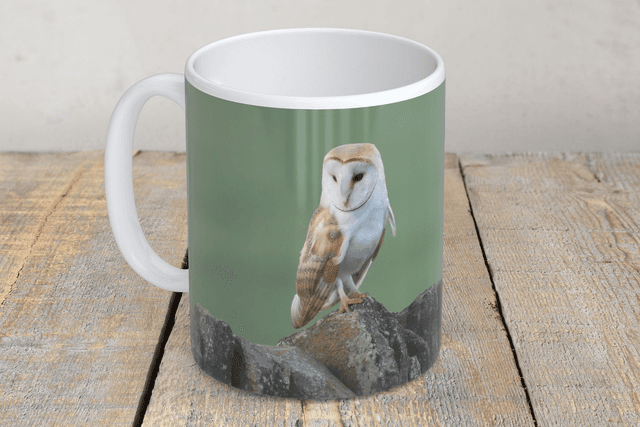 “Barn Owl” Mug  