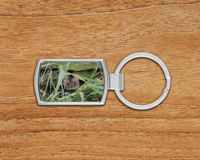 &quot;Pop Goes the Weasel&quot; Keyring  