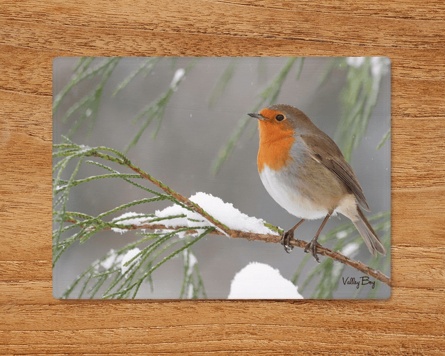 &quot;Christmas Robin&quot; Glass Worktop Saver  