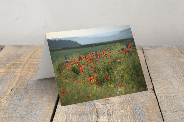 &quot;Poppies at High Bradfield&quot; Greeting Card     
