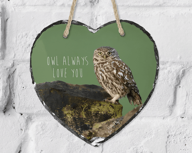 “Owl Always Love You - Little Owl” Heart Slate   