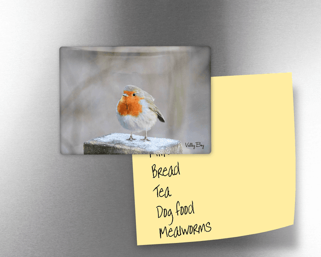 &quot;Frosty Toes&quot; Fridge Magnet