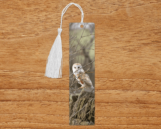 &quot;Beautiful Barn Owl&quot; Bookmark 