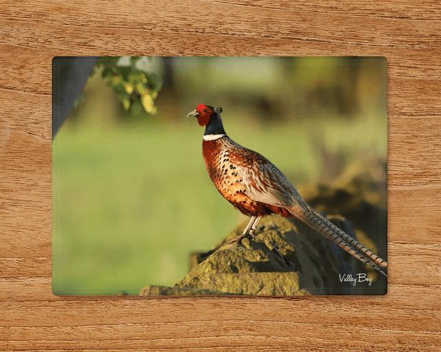 &quot;Rufus Pheasant&quot; Glass Worktop Saver 