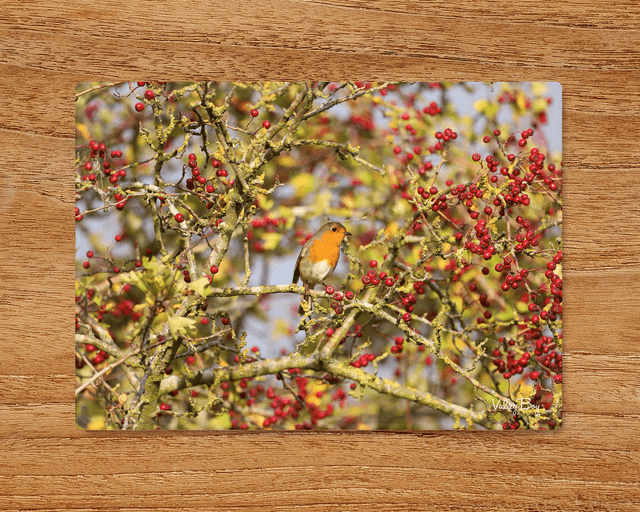 &quot;Robin Amongst the Berries&quot; Glass Worktop Saver  
