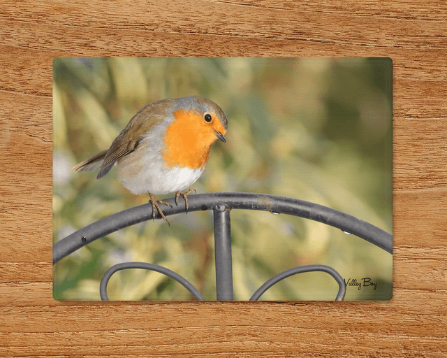 &quot;Robin&quot; Glass Worktop Saver  
