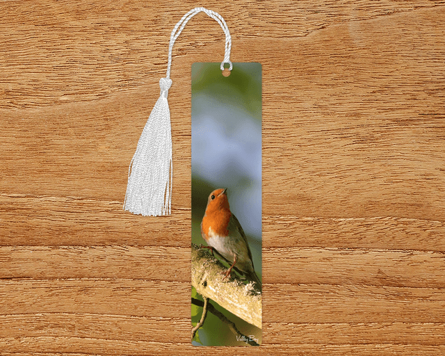 &quot;Robby Robin&quot; Bookmark