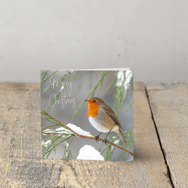 &quot;Christmas Robin&quot; Christmas Card