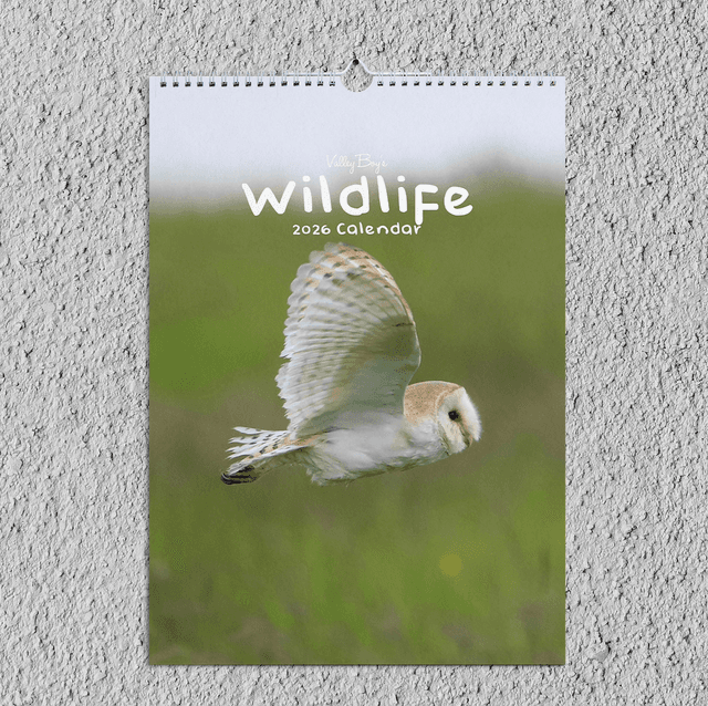 “Wildlife” 2026 Calendar 
