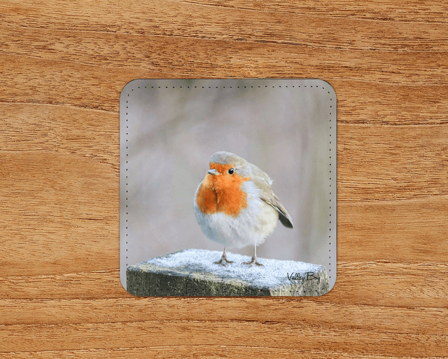 “Frosty Toes” Coaster 