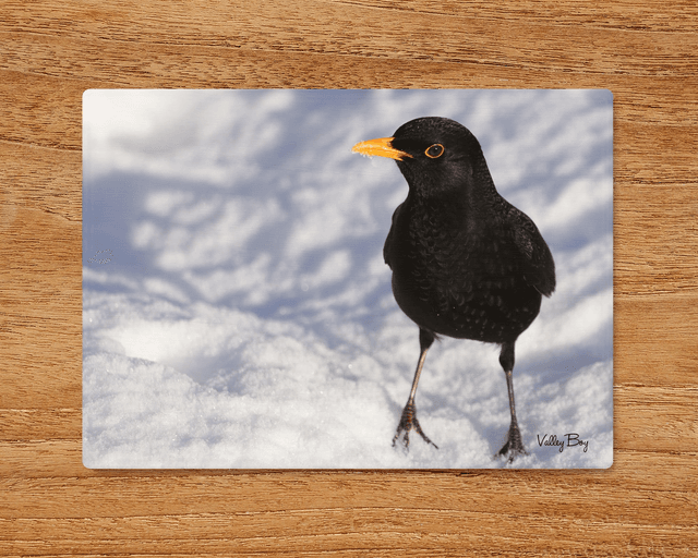 &quot;Billy Blackbird in the Snow&quot; Glass Worktop Saver 