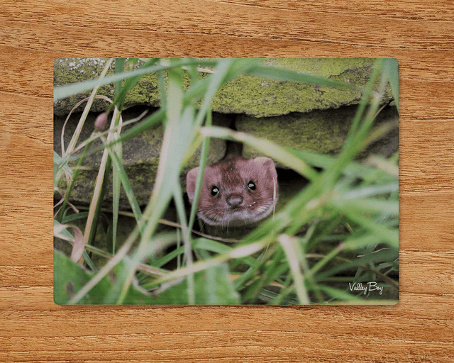 &quot;Pop Goes the Weasel&quot; Glass Worktop Saver  