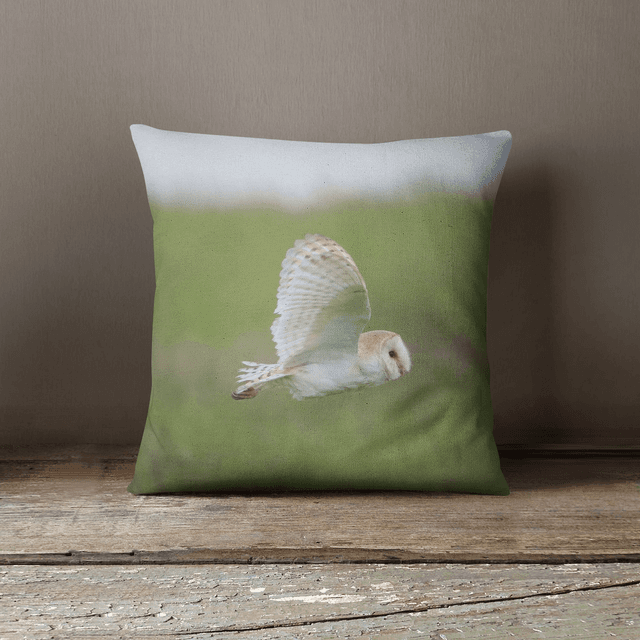 “Barn Owl” Cushion