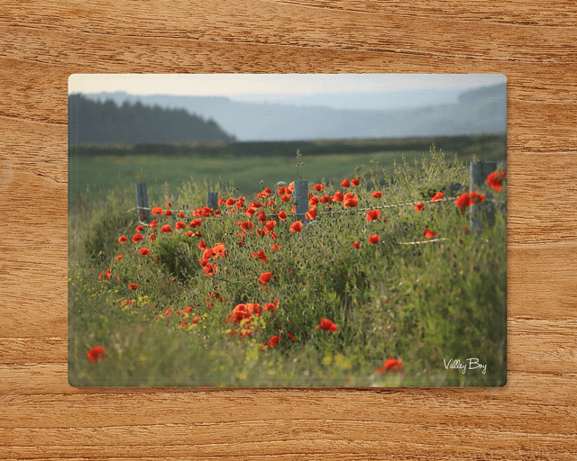 &quot;Poppies at High Bradfield&quot; Glass Worktop Saver  