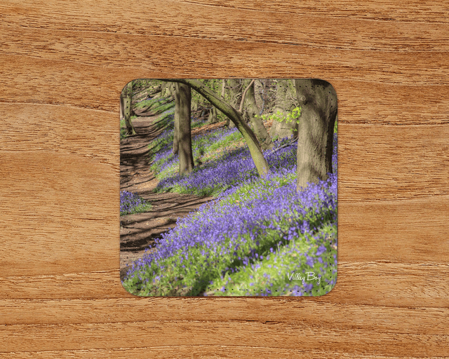 “Bluebell Woodland” Coaster 