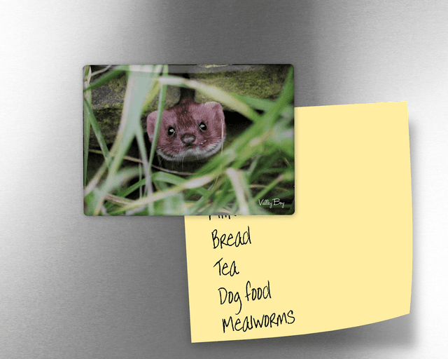 &quot;Pop Goes the Weasel&quot; Fridge Magnet  