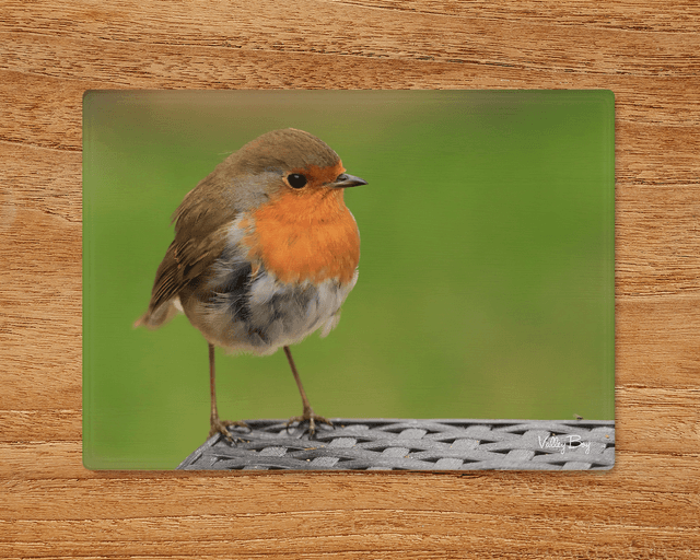&quot;Robby Robin&quot; Glass Worktop Saver
