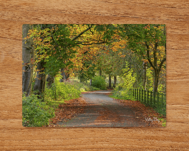 &quot;Autumn in the Ewden Valley&quot; Glass Worktop Saver 
