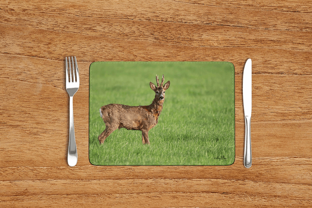 “Handsome Buck” Placemat  