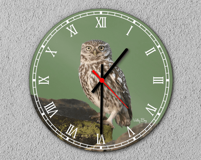 “Little Owl” Clock 