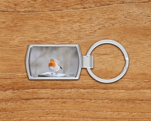 &quot;Frosty Toes&quot; Keyring   
