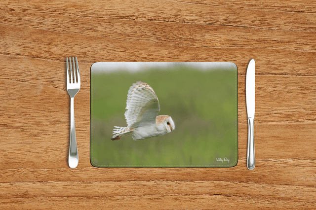 “Barn Owl” Placemat
